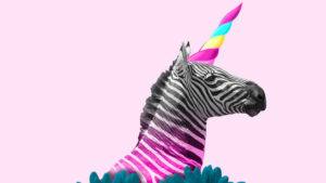 unicorns-vs-zebras